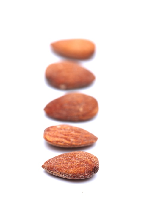 Almond Photo