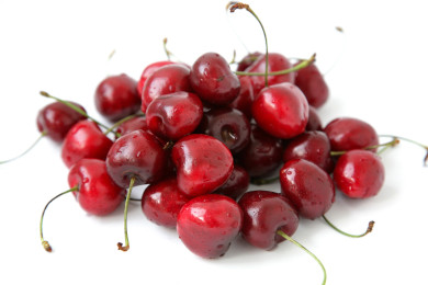 Bitter Cherry Photo