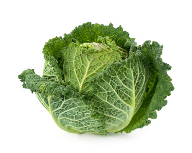 Cabbage Photo