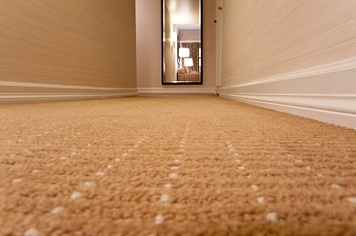 Carpet Photo