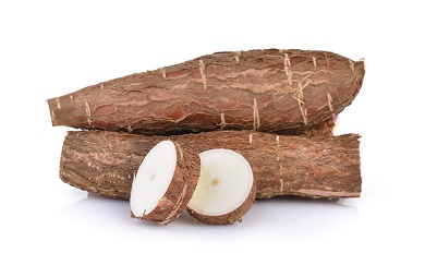 Cassava Root Photo