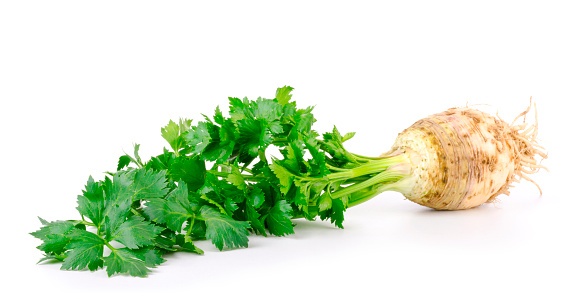 Celeriac Photo