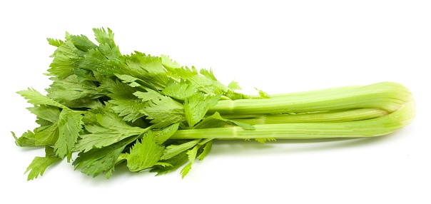 Celery leaves Photo