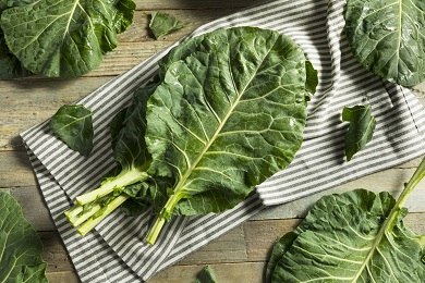 Collard Greens Photo