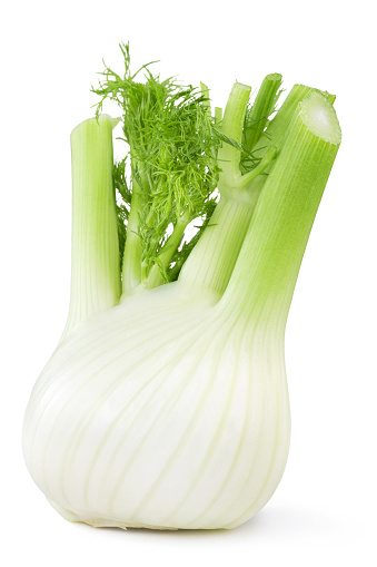 Fennel Photo