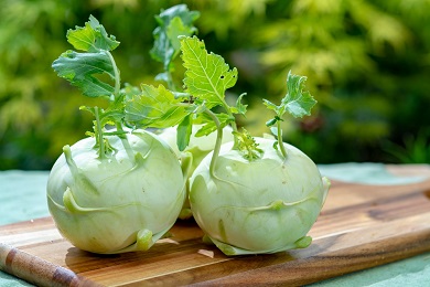 Kohlrabi Photo