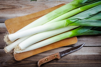 Leek Photo