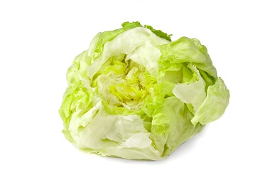Iceberg Lettuce Photo