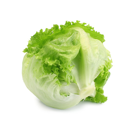 Light colored lettuces Photo