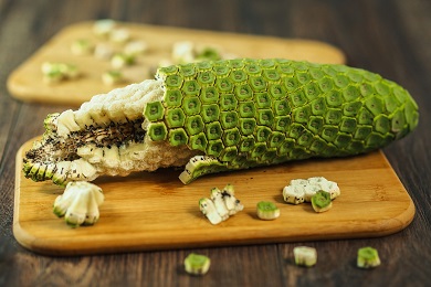 Mexican Breadfruit Photo