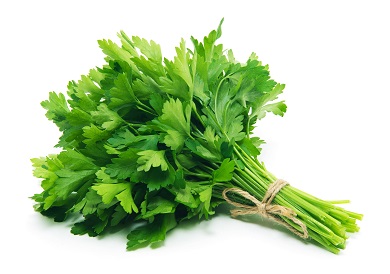 Parsley Photo