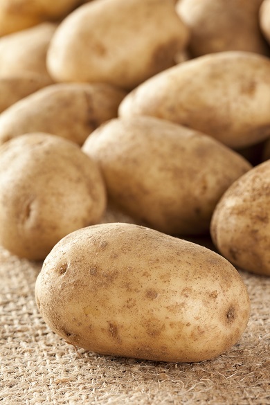 Potato Photo