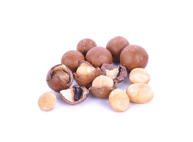 Queensland Nut Photo