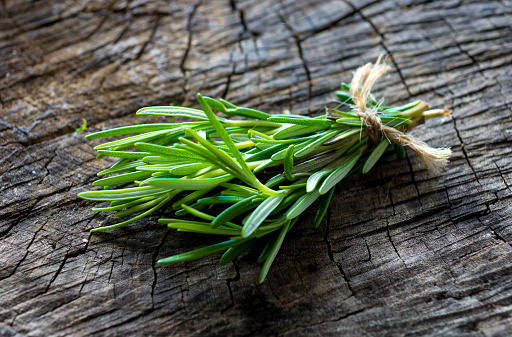 Rosemary Photo