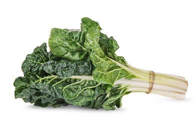 Silverbeet Photo